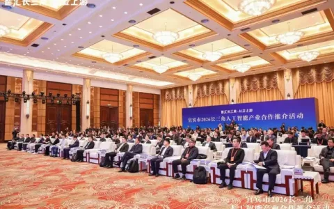 AI立上游，宜宾凭什么？