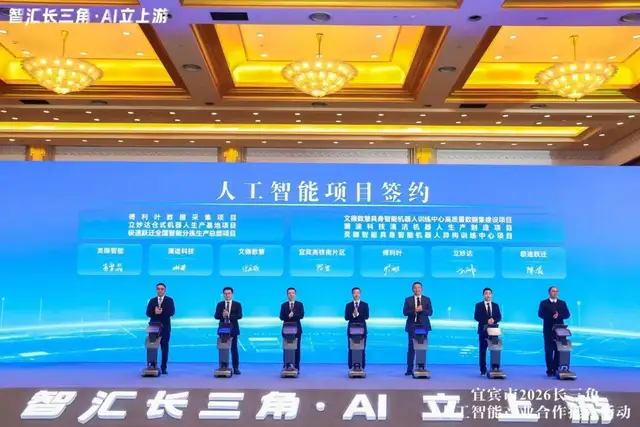 AI立上游，宜宾凭什么？